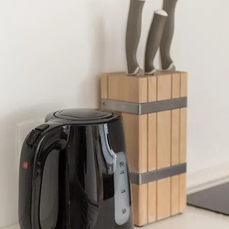 Rok 아파트 류블랴나