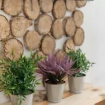 Rok Apartma Ljubljana